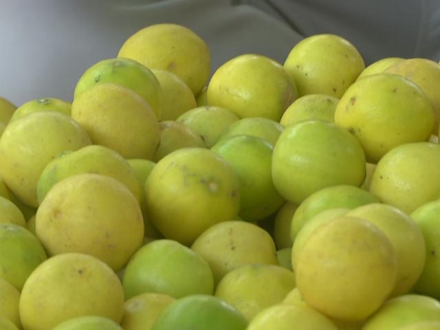 Here's Why Lemons Are So Expensive Right Now