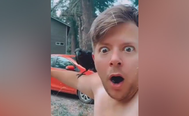 इस शख्स को है कौओं से प्यार, कभी कंधे तो कभी सिर पर बैठ मस्ती करता है कौआ