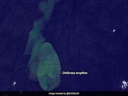 NASA Captures Eruption Of "Sharkcano", The Underwater Volcano Where Sharks Live NASA Captures Eruption Of "Sharkcano", The Underwater Volcano Where Sharks Live