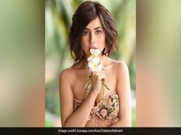 शहनाज गिल ने डब्बू रतनानी के लिए करवाया फोटोशूट, एक्ट्रेस की ग्लैमरस तस्वीरें देख फैंस दे रहे हैं ऐसा रिएक्शन शहनाज गिल ने डब्बू रतनानी के लिए करवाया फोटोशूट, एक्ट्रेस की ग्लैमरस तस्वीरें देख फैंस दे रहे हैं ऐसा रिएक्शन