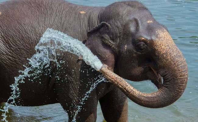 7 Top Places To Visit In Idukki On Your Next Getaway To Kerala