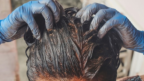 दही में अगर ये हरी चीज मिलाकर बालों में लगा ली, तो शाइनी और काले नहीं घुटनों से भी लंबे होंगे बाल