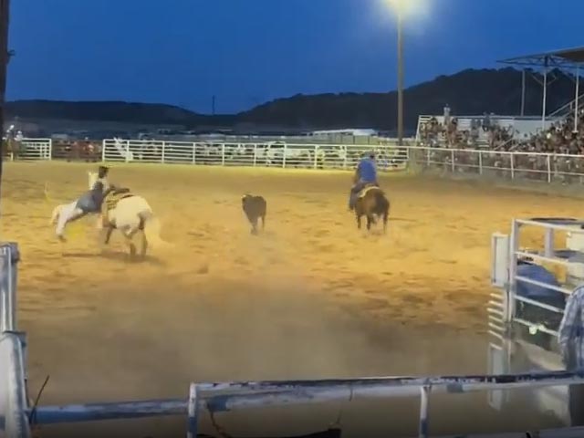 Horse Trips, Sends Cowboy Flying At Rodeo
