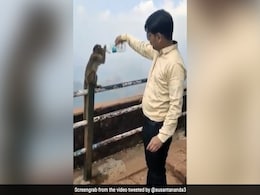 प्यास से तड़पते बंदर को इस शख्स ने पिलाया पानी, Video जीत लेगा दिल प्यास से तड़पते बंदर को इस शख्स ने पिलाया पानी, Video जीत लेगा दिल