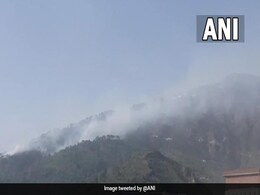 Landmine Explosions Due To Forest Fire Along Line Of Control: Report Landmine Explosions Due To Forest Fire Along Line Of Control: Report