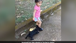 Watch: Puppy Tricks Child Into Dropping Her Lollipop; Here's What He Did Next