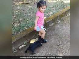 Watch: Puppy Tricks Child Into Dropping Her Lollipop; Here's What He Did Next