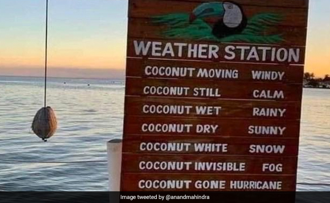 आनंद महिंद्रा ने बताया, मौसम की भविष्यवाणी का अनोखा जुगाड़, बोले- हवा में लटकता नारियल बताएगा मौसम का हाल