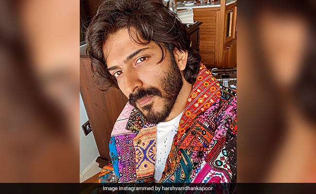 Actor Harsh Varrdhan Kapoor Trolled For The "Sad Reality Of My Life" Comment