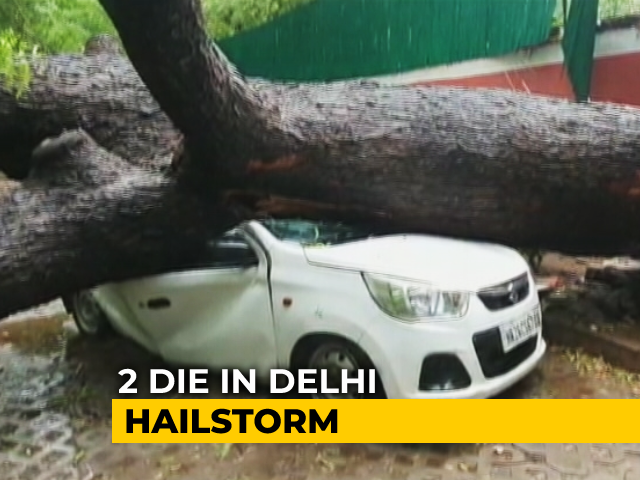 2 Dead In Delhi Storm, Huge Traffic Chaos, Nearly 300 "Tree Fall" Calls