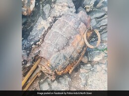 World War 1 Bomb "Capable Of Exploding" Found By Boy On UK Beach World War 1 Bomb "Capable Of Exploding" Found By Boy On UK Beach