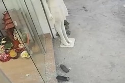 छोटी बच्ची ने जैसे ही खोला कांच का दरवाज़ा, अचानक गिरकर हो गया चकनाचूर और फिर... छोटी बच्ची ने जैसे ही खोला कांच का दरवाज़ा, अचानक गिरकर हो गया चकनाचूर और फिर...