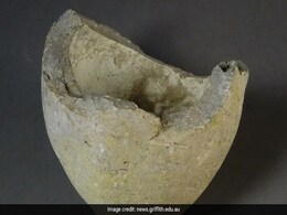 Ceramic Jars Discovered In Jerusalem May Actually Be 1000-Year-Old Grenades, Says Study Ceramic Jars Discovered In Jerusalem May Actually Be 1000-Year-Old Grenades, Says Study