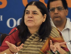 &quot;When Paris Killed Dogs&quot;: Maneka Gandhi&#039;s History Lesson After Court Order