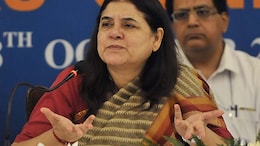 "When Paris Killed Dogs": Maneka Gandhi's History Lesson After Court Order