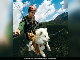 पहाड़ों की ऊंचाई पर पैराग्लाइडिंग करते डॉगी का Video मचा रहा खलबली, मजेदार उड़ान ने जीता लोगों का दिल पहाड़ों की ऊंचाई पर पैराग्लाइडिंग करते डॉगी का Video मचा रहा खलबली, मजेदार उड़ान ने जीता लोगों का दिल