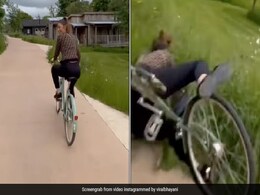 बॉलीवुड एक्ट्रेस फुल स्पीड में चला रही थी साइकिल, पोज देने के चक्कर में बिगड़ा बैलेंस- वीडियो देख दहल जाएगा दिल बॉलीवुड एक्ट्रेस फुल स्पीड में चला रही थी साइकिल, पोज देने के चक्कर में बिगड़ा बैलेंस- वीडियो देख दहल जाएगा दिल