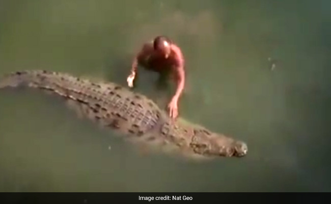 मगरमच्छ से कुश्ती लड़कर शख्स ने बचाई अपनी जान, लोगों ने कहा- हिम्मती इंसान