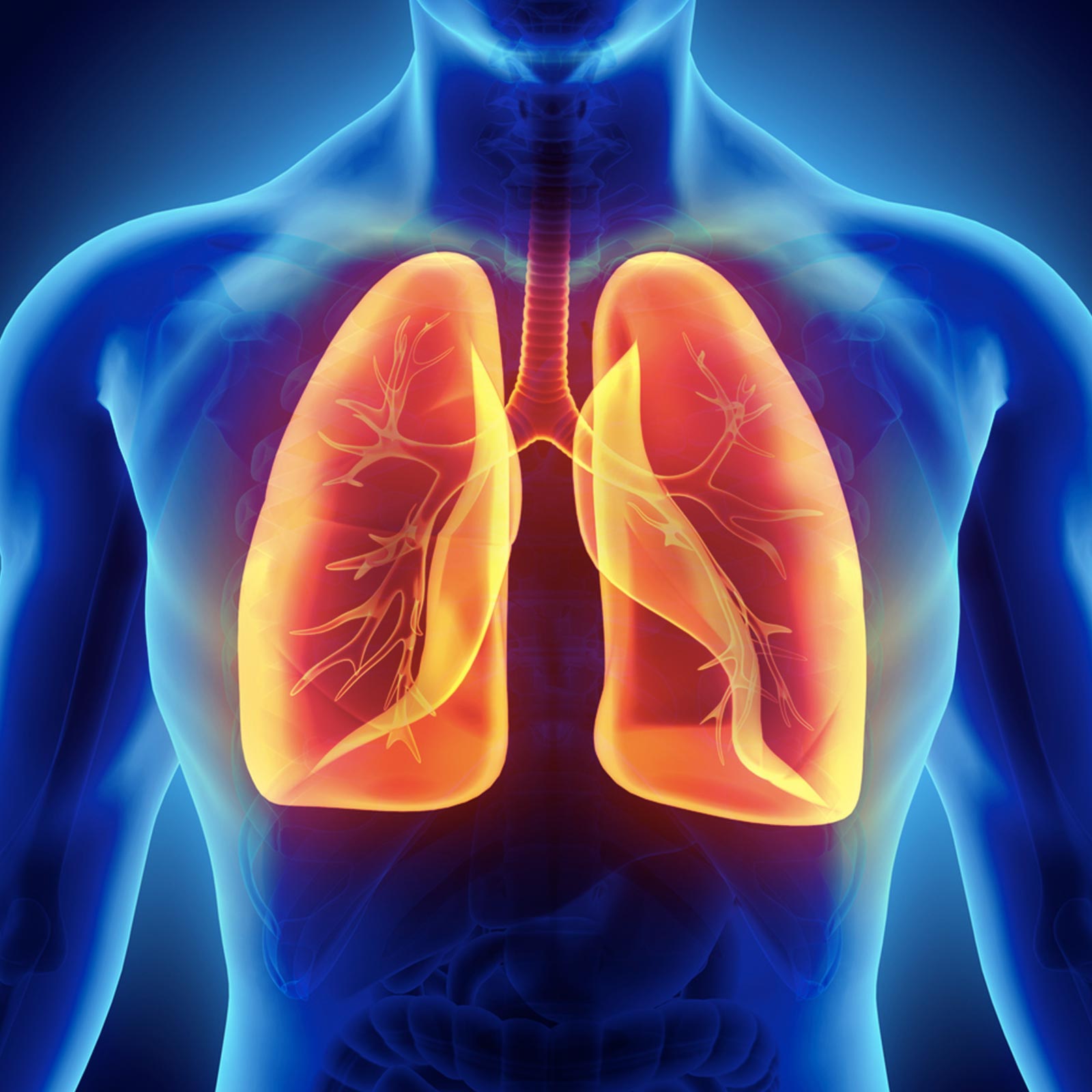 Congestion is lungs might affect effectiveness of thyroid medication