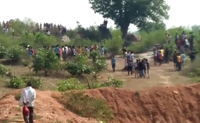 मध्य प्रदेश: वन विभाग ने गुस्साई भीड़ के चंगुल से बाघ के शावकों को बचाया, दो लोगों की मौत से नाराज थे ग्रामीण