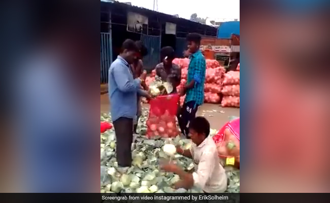 शख्स ने बिजली की रफ्तार से काटी पत्ता गोभी, देखकर चकराया लोगों का सिर, बोले इंसान है या रोबोट - देखें VIDEO