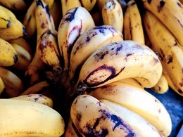 Banana Hack: इन कमाल की ट्रिक्स से हफ्तेभर फ्रेश रहेंगे पके हुए केले, हर दिन सड़ने से बचेगा यह फल  Banana Hack: इन कमाल की ट्रिक्स से हफ्तेभर फ्रेश रहेंगे पके हुए केले, हर दिन सड़ने से बचेगा यह फल