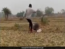 Boy Seen Kicking Tribal Girl In Jharkhand, Chief Minister Seeks Action Boy Seen Kicking Tribal Girl In Jharkhand, Chief Minister Seeks Action