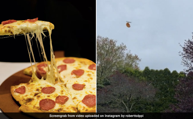 पक्षी उड़ा ले गया पिज्जा Video बनाती रह गई महिला, लोगों ने कहा- 'अब पछताए होत क्या जब चिड़िया चुग गई खेत'