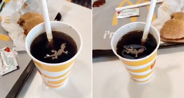 McDonald's Customer Finds Dead Lizard In Drink, Fast Food Giant Reacts