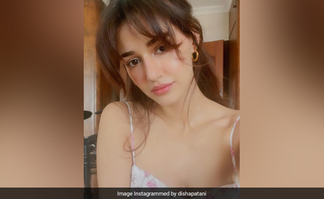 Disha Patani Makes Our Day Brighter With Her Stunning Selfies