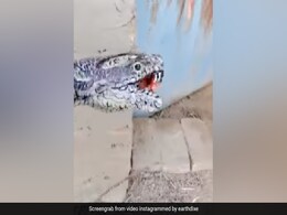 Watch: देखते ही देखते हाथ बन गया सांप, यकीन न हो तो देख लो Video Watch: देखते ही देखते हाथ बन गया सांप, यकीन न हो तो देख लो Video