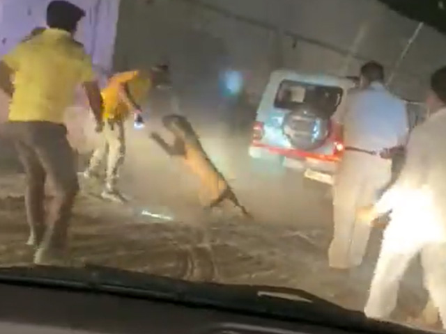 Watch: Cops, Guards Injured While Rescuing Leopard