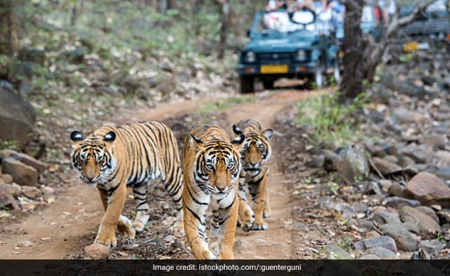 Top 5 Wildlife Sanctuaries In India To Visit In Summer 2022