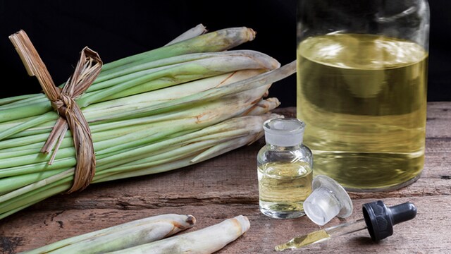 Lemongrass oil has been proven very effective in reducing arthritis pain