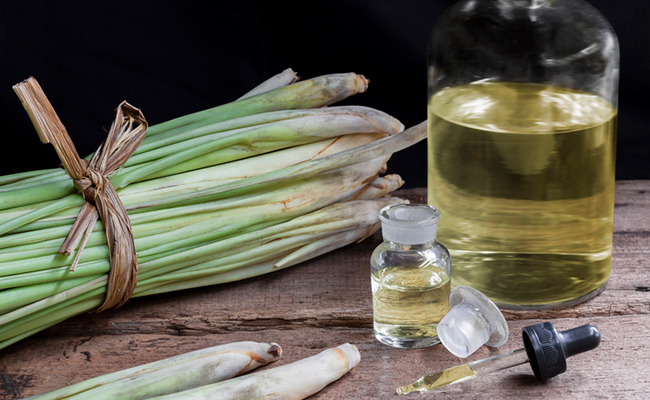 Lemongrass oil has been proven very effective in reducing arthritis pain