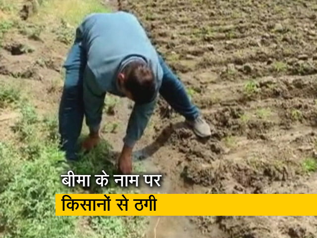 मध्य प्रदेश में फसल बीमा के नाम पर किसानों से ठगी, केंद्र सरकार की योजना को किया दरकिनार