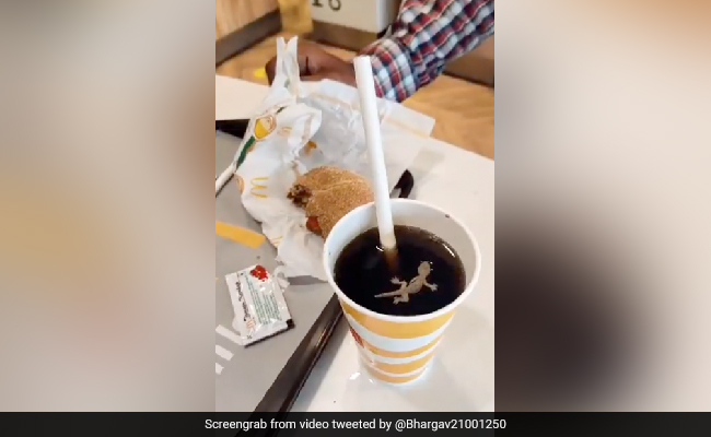 Man Posts Video Of Dead Lizard In McDonald's Soft Drink In Ahmedabad, Outlet Sealed