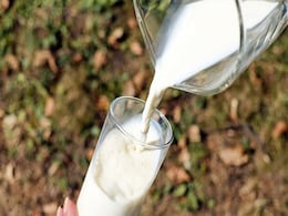 US Mother Selling 118 Litres Of Her Breast Milk To Help Families Amid Baby Formula Shortage US Mother Selling 118 Litres Of Her Breast Milk To Help Families Amid Baby Formula Shortage
