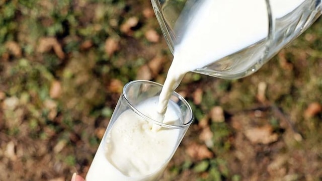 Raw milk is often unhygienic and can make you sick