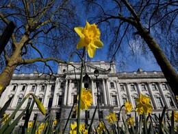 ब्रिटेन के घरेलू Service Sector में हैं असीम संभावनाएं, FTA से भारत के लिए खुलेंगे बड़े अवसर ब्रिटेन के घरेलू Service Sector में हैं असीम संभावनाएं, FTA से भारत के लिए खुलेंगे बड़े अवसर