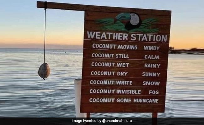 ये नारियल बताता है मौसम, आनंद महिंद्रा ने इस तकनीक को बताया Awesome!