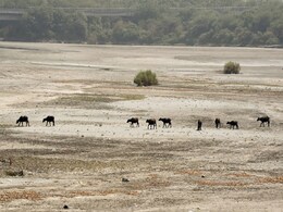 गर्मी शुरू होते ही दक्षिण भारत में जल संकट गहराया, जलाशयों का स्तर घटकर 17%  रह गया : सीडब्ल्यूसी गर्मी शुरू होते ही दक्षिण भारत में जल संकट गहराया, जलाशयों का स्तर घटकर 17%  रह गया : सीडब्ल्यूसी