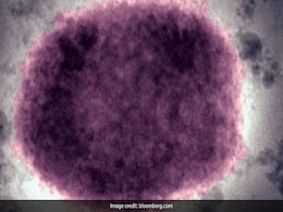 Conspiracy Theories That US Let Loose Monkeypox Swirl In China Conspiracy Theories That US Let Loose Monkeypox Swirl In China
