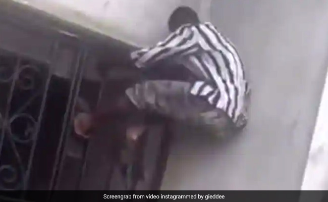 Watch Video: चोरी करने आये चोर का दांव उसी पर पड़ा उल्टा, लटक-लटक कर बचानी पड़ गई जान