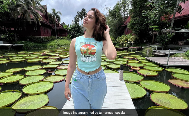 तमन्ना भाटिया ने थाईलैंड में छुट्टियां मनाते हुए शेयर की फोटो तस्वीरें, फैन्स ने पूछा- लंबे सफेद घने पैंट के धागे