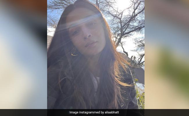 आलिया भट्ट में जनवरी से अप्रैल तक आए इतने बदलाव, सेल्फी में शेयर की चार महीनों की जर्नी