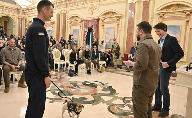 Ukraine dog