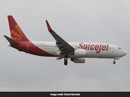 Stop SpiceJet Operation: Plea In Delhi High Court Over Recent Glitches Stop SpiceJet Operation: Plea In Delhi High Court Over Recent Glitches