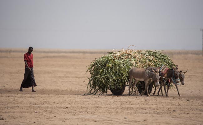 Climate Change Set To "Increase Hunger" In Africa, Warns United Nations