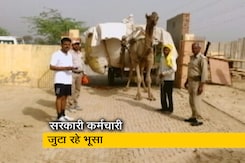 उत्तर प्रदेश की गौशालाओं में चारे का संकट, जिलाधिकारियों को भूसा एकत्रित करने का लक्ष्य दिया उत्तर प्रदेश की गौशालाओं में चारे का संकट, जिलाधिकारियों को भूसा एकत्रित करने का लक्ष्य दिया